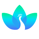 一拍秀