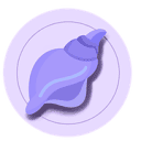Conch