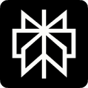 Perplexity AI 图标