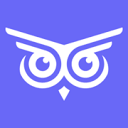 Brandwise 图标